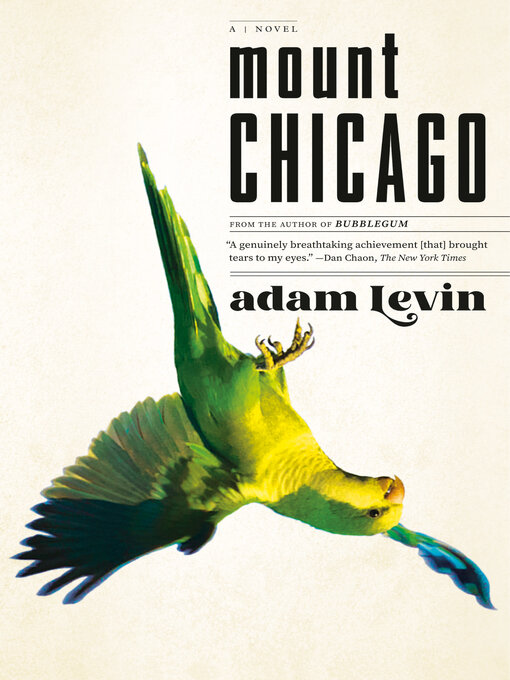 Title details for Mount Chicago by Adam Levin - Wait list